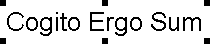 A dotted line is displayed around the text