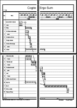 One border is printed continuously across multiple pages