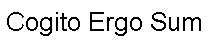 No dotted line is displayed around the text