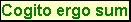 A text annotation with coloured text and a background colour