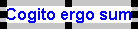 A selected text annotation
