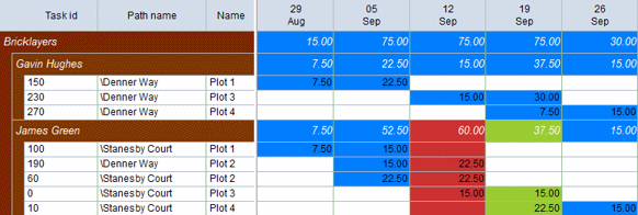 The resource usage view configured to display the sum of actual and remaining values