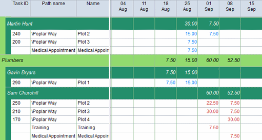The resource usage view with extra rows for each resource's standard work