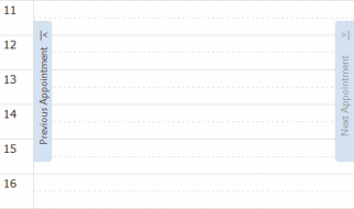 'Previous Appointment' and 'Next Appointment' controls at the left and right of the calendar view