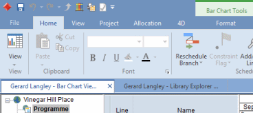 User name displayed in view tabs