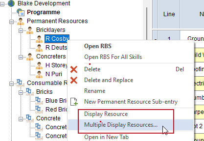 The new 'Display Resource' and 'Multiple Display Resources' right-click project view menu commands