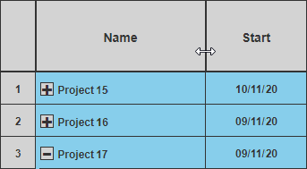 A section of the spreadsheet, with the resize column cursor positioned on the right-hand edge of the Name column header