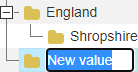 A new top level value with its name editable